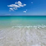Pelican Walk 1012